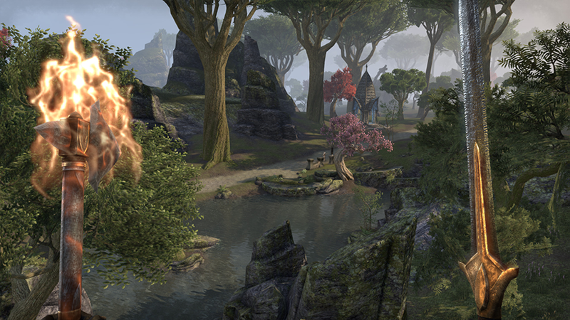 Illustration for article titled Elder Scrolls Online MMO Log: The World Is My Cat Box